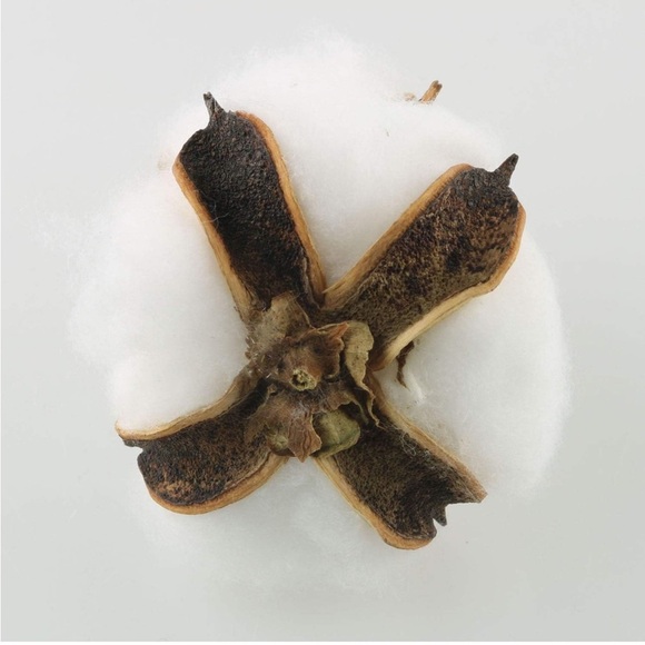 BRAND NEW COTTON BALL PIECES FOR FARMHOUSE HOME DECOR - Picture 3 of 9